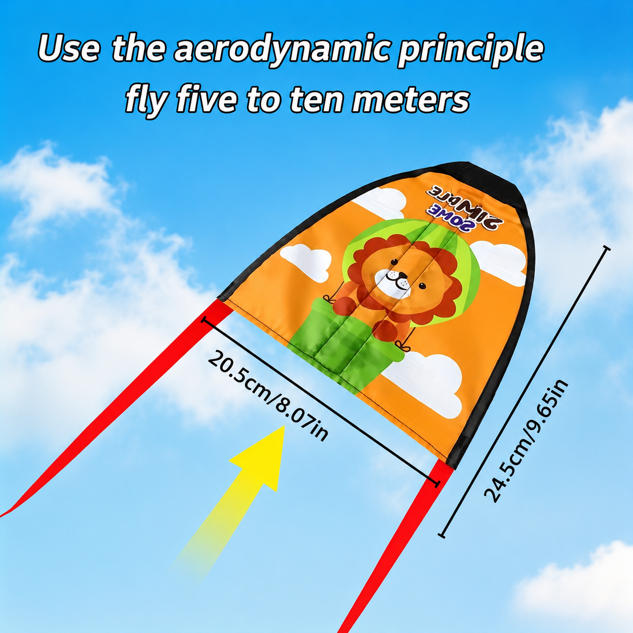 Kids Catapult Kite