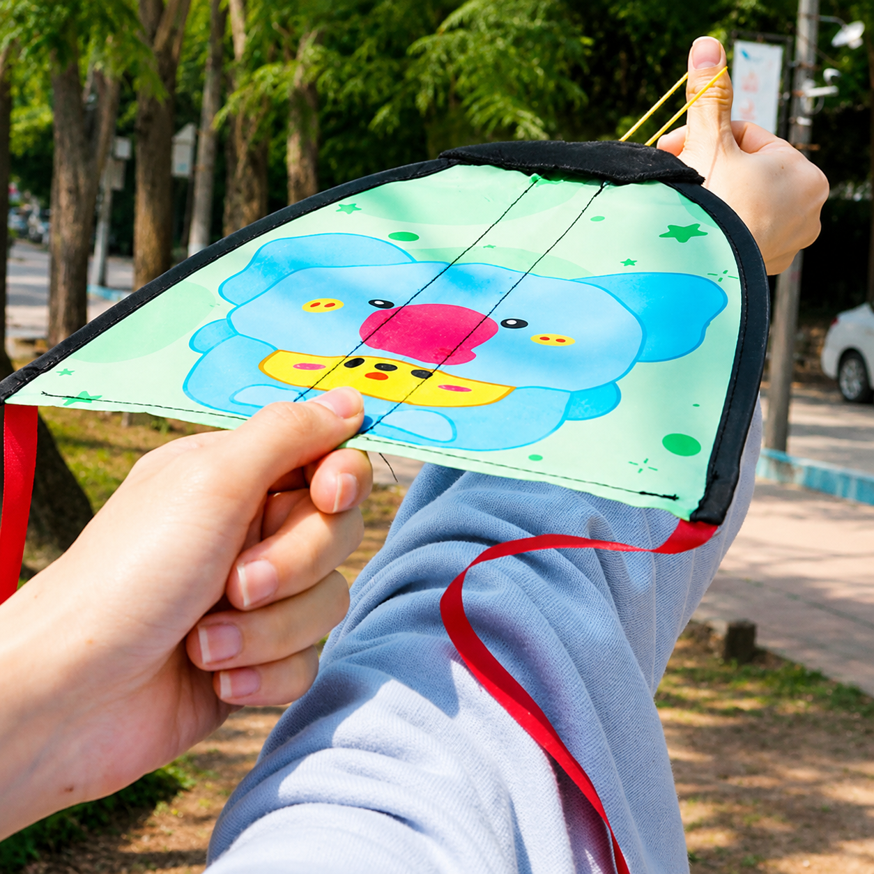 Kids Catapult Kite